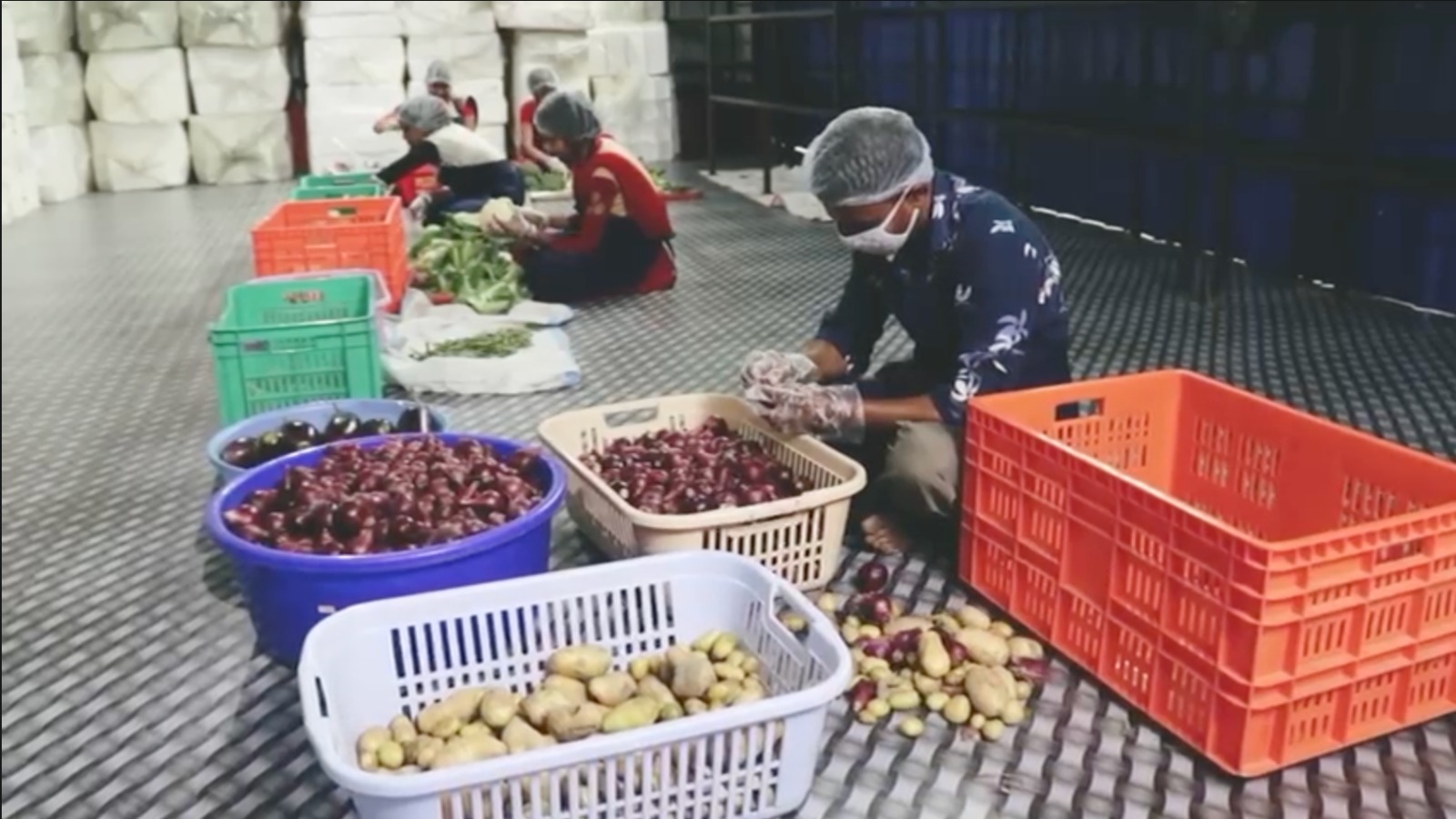 WhatsApp Image 2025-07-31 at 11.47.48.jpeg